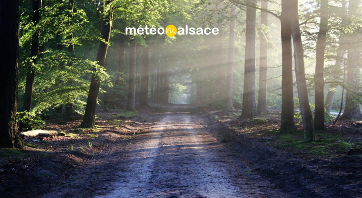 LEs tedances météo à 3 mois