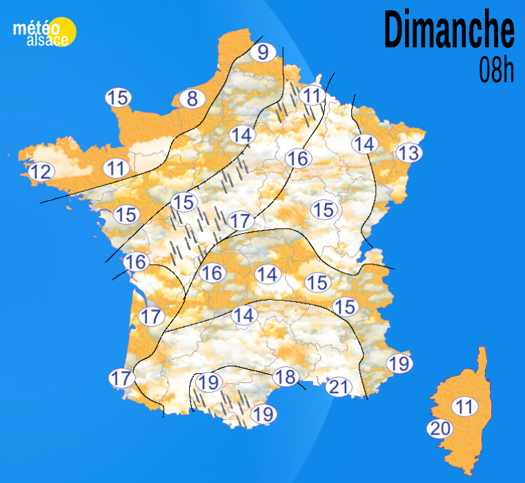 Carte matinée